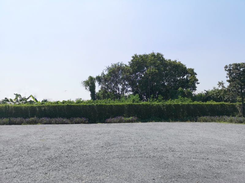 Lot Grading Service